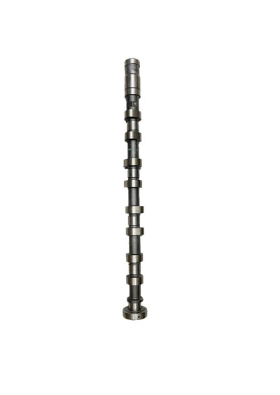 Oem Eksantrik Mili Camshaft İnlet Xenon P13L0062