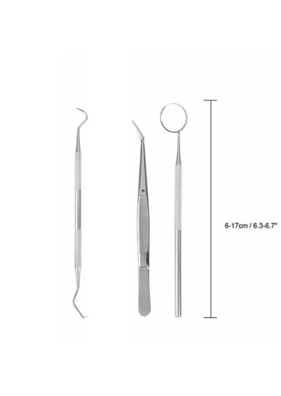 TQT Stainless Steel Profesyonel Diş Hekimi Tartar Sökücü Paslanmaz Çelik Seti