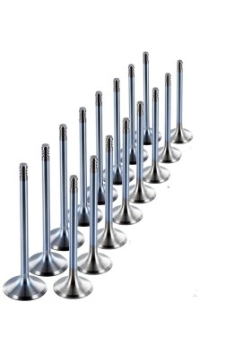 Güneş 0257-0258 - 03L109611A Emme Eksoz Subap Takım Polo Golf6 Caddy Passat Jetta A3 Caye Cayb