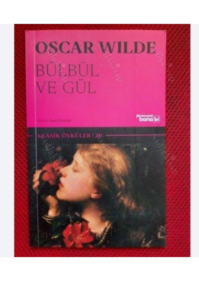 Bülbül ve Gül