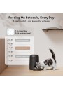 Petlibro Otomatik Kedi Maması Dispenseri, Kedi Besleyici Pilli - Siyah
