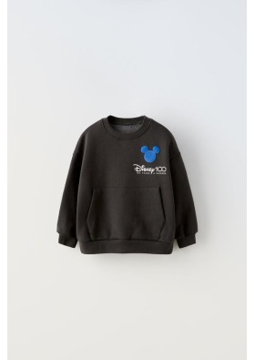 Zara MICKEY MOUSE AND FRIENDS © DISNEY 100TH ANNIVERSARY HOODIE