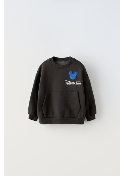 Zara MICKEY MOUSE AND FRIENDS © DISNEY 100TH ANNIVERSARY HOODIE