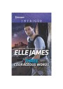 Three Courageous Words - Elle James