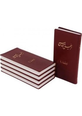 The New Testament in Persian, New Millennium Version - Farsça Yeni Ahit, Yeni Binyıl Sürümü