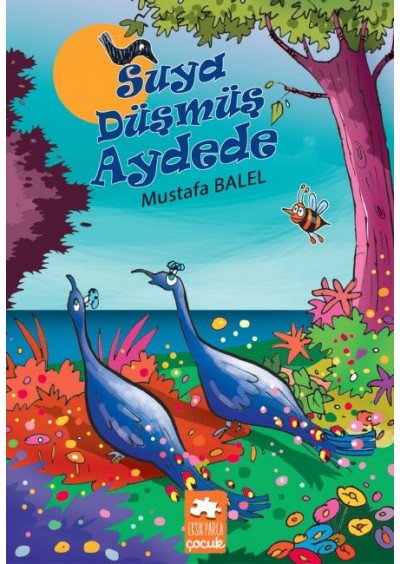 Suya Düşmüş Aydede -Eksik Parça Yayınları