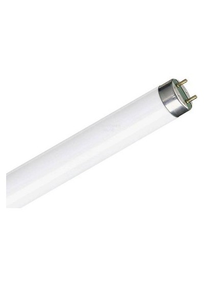 Philips Tl-D 18 W Snow White Floresan