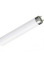 Philips Tl-D 18 W Snow White Floresan