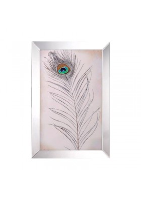 Tavus Kuşu Tüyü Tablosu Aynalı Çerçeve 40x60cm