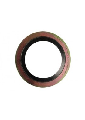 Spiral Sarımlı Çelik Conta DN65 PN16 304/FG