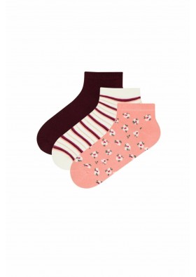 Penti Kadın Renkli Garden Patik Çorap 3'lü PHDLUAKI20IY-MIX