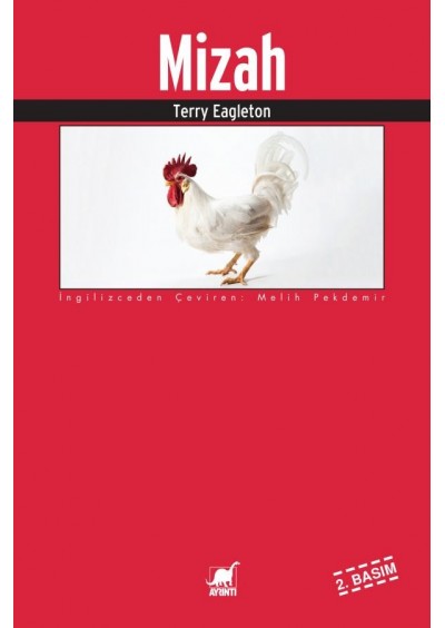 Ayrıntı Yayınları Mizah