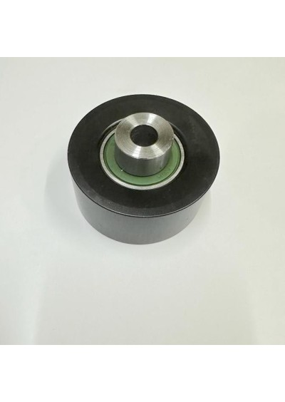 Poland NSK 6202 DW Alternatör Rulmanı